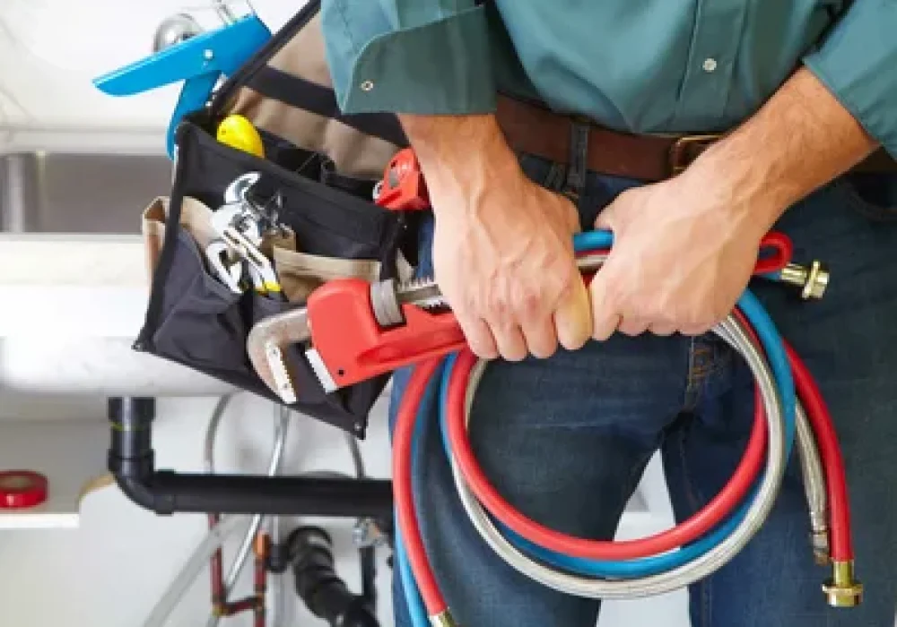 i - 2026-01-29T050004.709